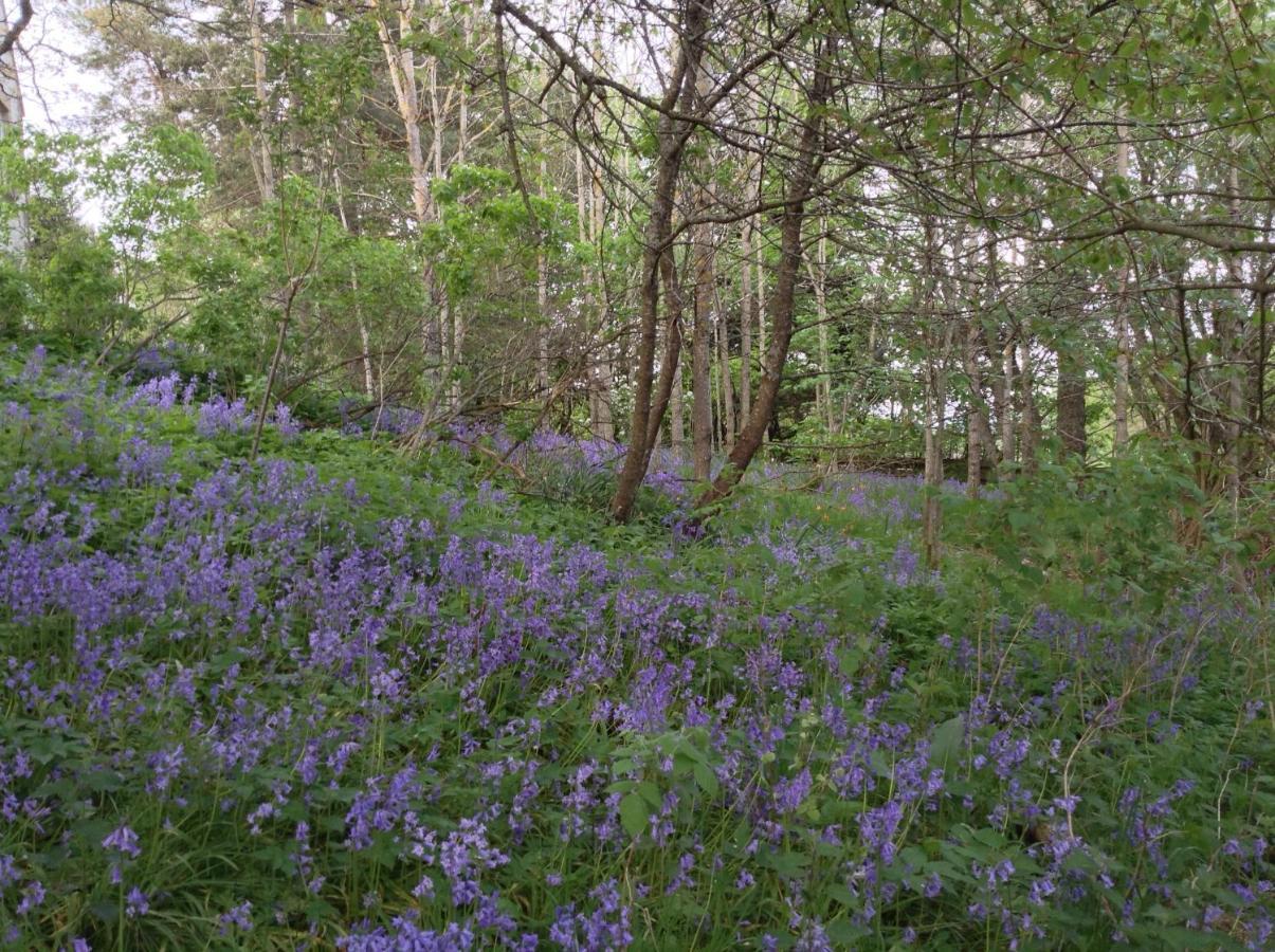 Dower House Newtonmore B&B Экстерьер фото